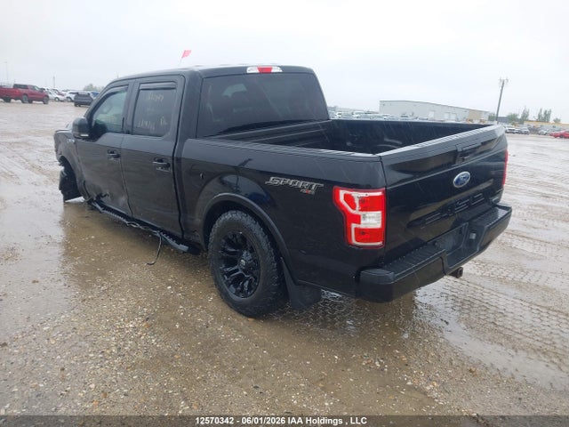 Auction sale of the 2019 Ford F-150 Xlt, vin: 1FTEW1EP3KKC56849, lot number: 12570342