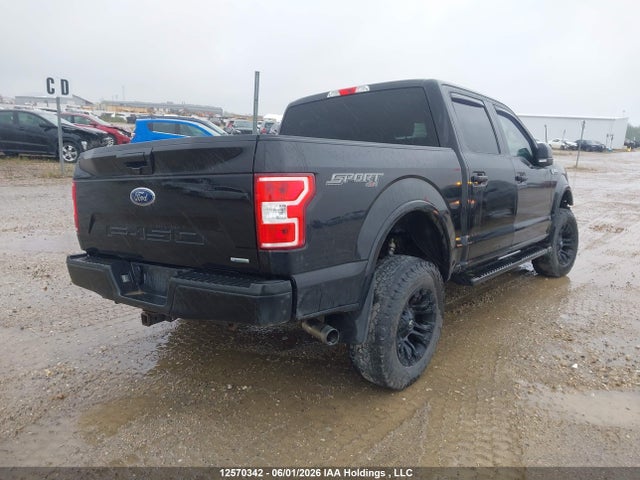 Auction sale of the 2019 Ford F-150 Xlt, vin: 1FTEW1EP3KKC56849, lot number: 12570342