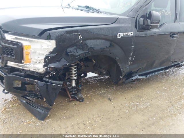 Auction sale of the 2019 Ford F-150 Xlt, vin: 1FTEW1EP3KKC56849, lot number: 12570342