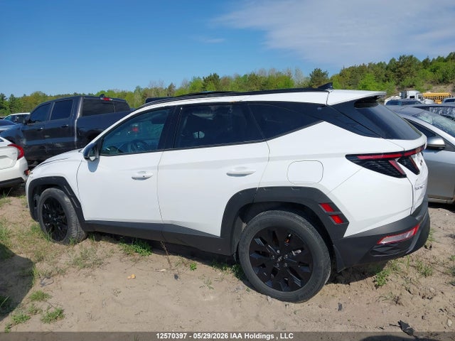 Hyundai TUCSON SEL 2023 KM8JCCAEXPU251422 Image 13