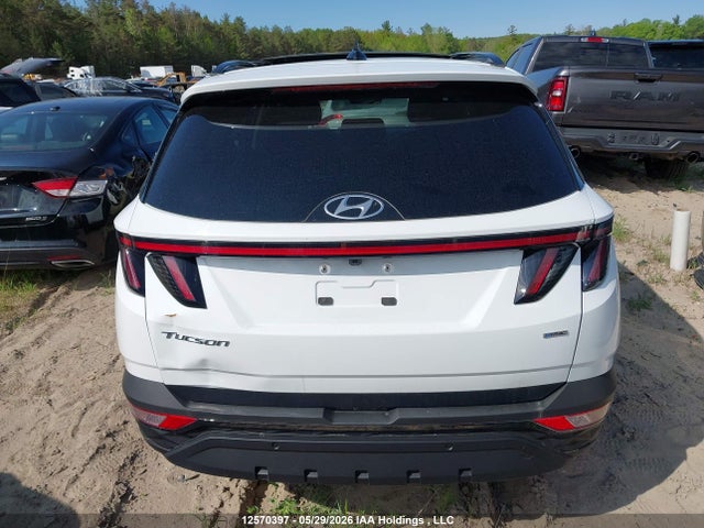 Hyundai TUCSON SEL 2023 KM8JCCAEXPU251422 Image 15