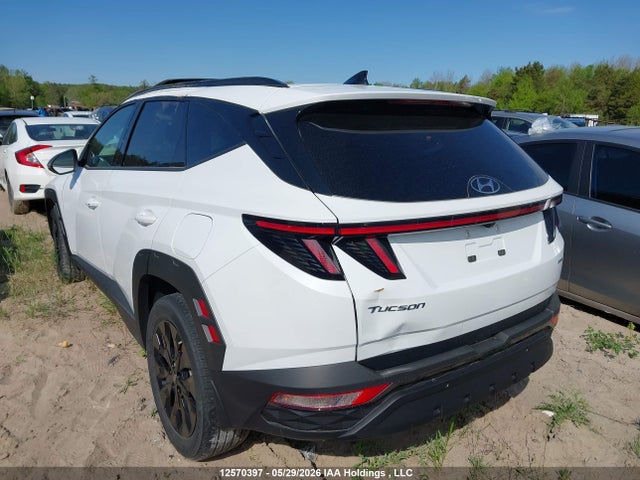 Hyundai TUCSON SEL 2023 KM8JCCAEXPU251422 Image 3