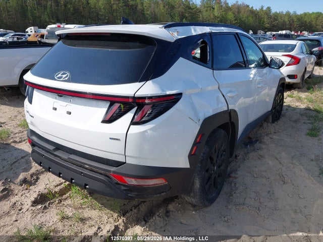 Hyundai TUCSON SEL 2023 KM8JCCAEXPU251422 Image 4