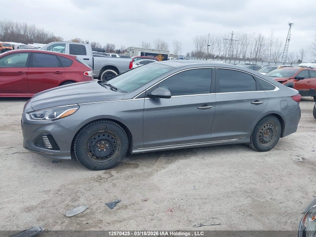 5NPE34AFXKH749160 Hyundai Sonata Limited/sel/sport
