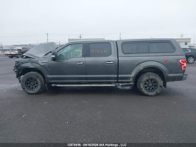 Продаж на аукціоні авто 2020 Ford F-150 Xlt, vin: 1FTFW1E58LFB02022, номер лоту: 12570436