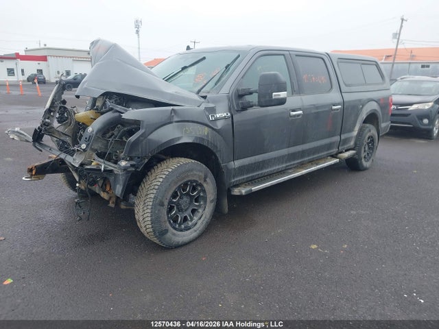 Продаж на аукціоні авто 2020 Ford F-150 Xlt, vin: 1FTFW1E58LFB02022, номер лоту: 12570436
