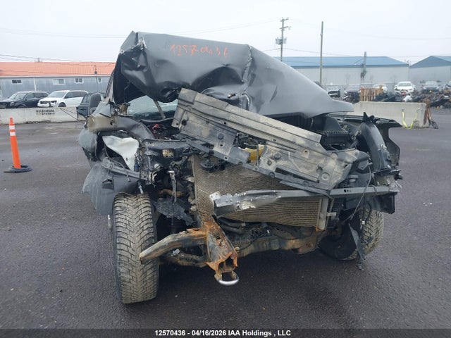 Продаж на аукціоні авто 2020 Ford F-150 Xlt, vin: 1FTFW1E58LFB02022, номер лоту: 12570436