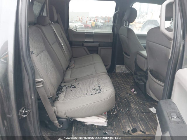 Продаж на аукціоні авто 2020 Ford F-150 Xlt, vin: 1FTFW1E58LFB02022, номер лоту: 12570436