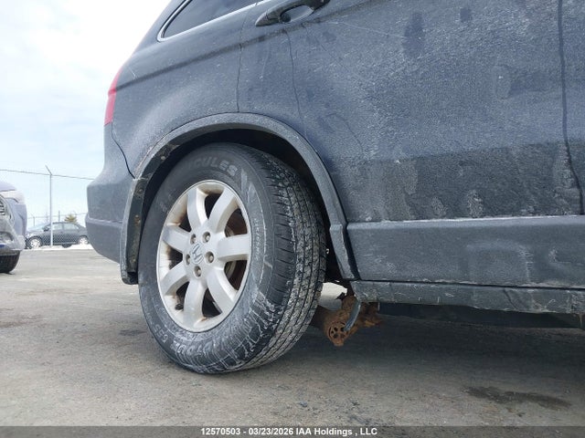 Продаж на аукціоні авто 2007 Honda Cr-v Ex-l, vin: 5J6RE487X7L808442, номер лоту: 12570503