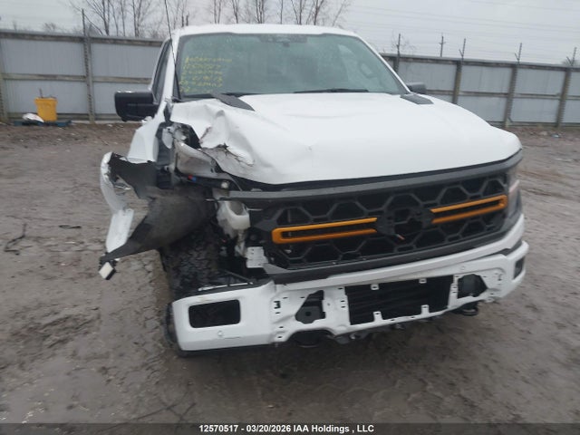 Продаж на аукціоні авто 2024 Ford F150, vin: 1FTFW4L87RFC19114, номер лоту: 12570517