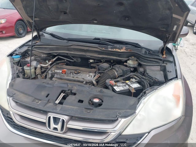 12570537 :رقم المزاد ، 5J6RE4H52AL802284 vin ، 2010 Honda Cr-v Ex مزاد بيع