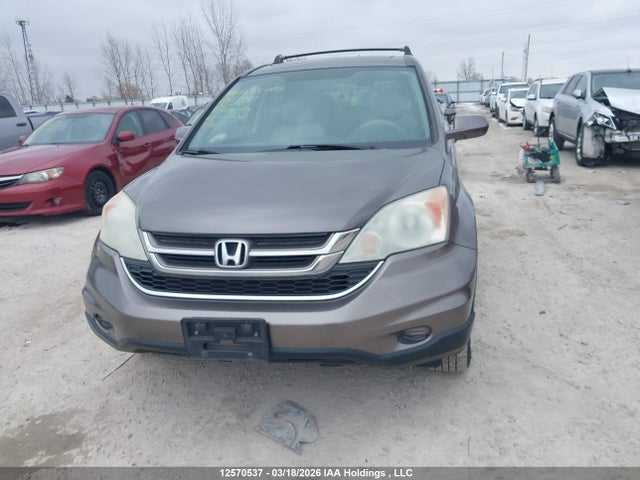 12570537 :رقم المزاد ، 5J6RE4H52AL802284 vin ، 2010 Honda Cr-v Ex مزاد بيع
