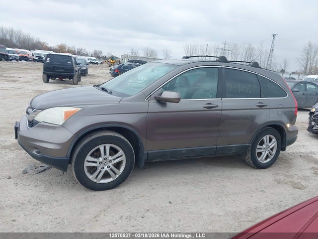12570537 :رقم المزاد ، 5J6RE4H52AL802284 vin ، 2010 Honda Cr-v Ex مزاد بيع