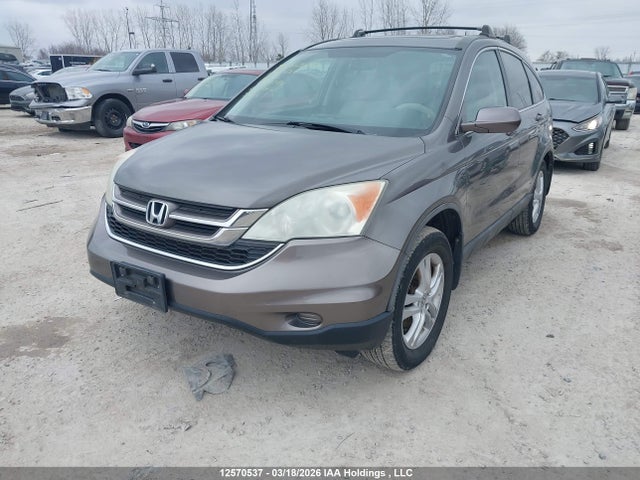 12570537 :رقم المزاد ، 5J6RE4H52AL802284 vin ، 2010 Honda Cr-v Ex مزاد بيع