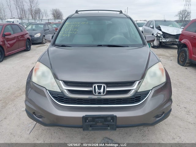 12570537 :رقم المزاد ، 5J6RE4H52AL802284 vin ، 2010 Honda Cr-v Ex مزاد بيع