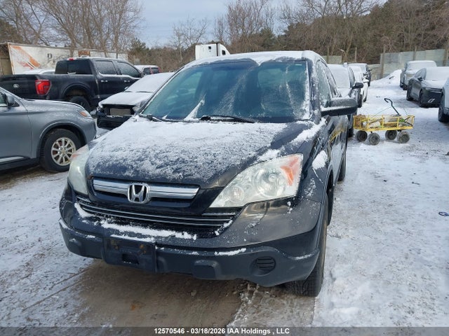 2007 Honda Cr-v Ex მანქანა იყიდება აუქციონზე, vin: 5J6RE48507L807198, აუქციონის ნომერი: 12570546