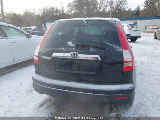 2007 Honda Cr-v Ex მანქანა იყიდება აუქციონზე, vin: 5J6RE48507L807198, აუქციონის ნომერი: 12570546