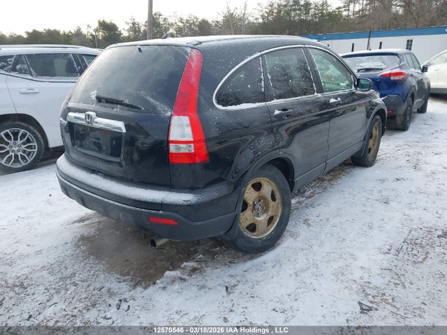 2007 Honda Cr-v Ex მანქანა იყიდება აუქციონზე, vin: 5J6RE48507L807198, აუქციონის ნომერი: 12570546