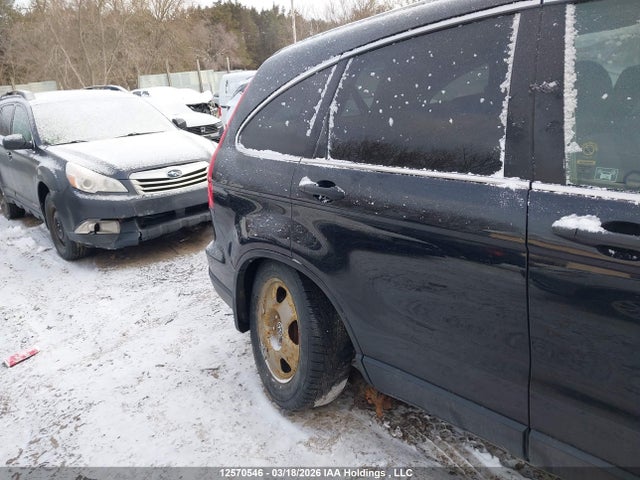 2007 Honda Cr-v Ex მანქანა იყიდება აუქციონზე, vin: 5J6RE48507L807198, აუქციონის ნომერი: 12570546