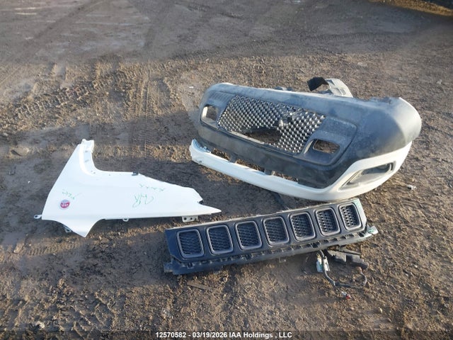 2021 Jeep Compass Trailhawk მანქანა იყიდება აუქციონზე, vin: 3C4NJDDBXMT590156, აუქციონის ნომერი: 12570582
