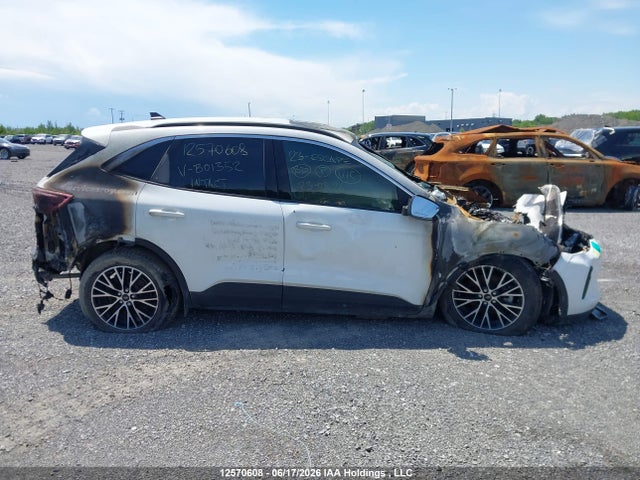 Продажа на аукционе авто 2023 Ford Escape, vin: 1FMCU0E16PUB01352, номер лота: 12570608