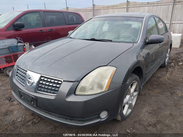 2005 Nissan Maxima Se/sl მანქანა იყიდება აუქციონზე, vin: 1N4BA41E65C804791, აუქციონის ნომერი: 12570615