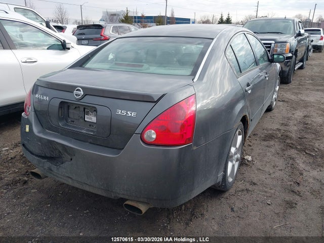 2005 Nissan Maxima Se/sl მანქანა იყიდება აუქციონზე, vin: 1N4BA41E65C804791, აუქციონის ნომერი: 12570615