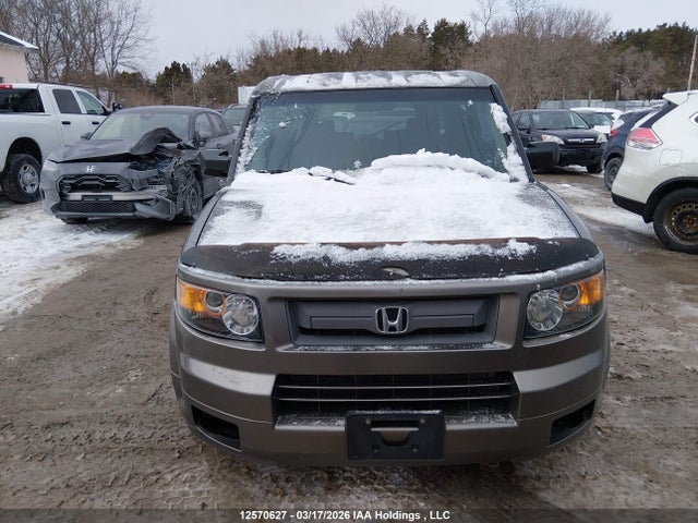 2007 Honda Element Sc მანქანა იყიდება აუქციონზე, vin: 5J6YH18907L800773, აუქციონის ნომერი: 12570627
