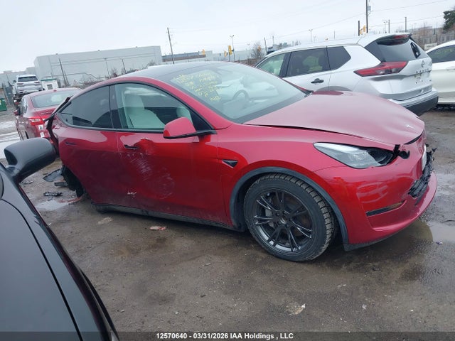 Продажа на аукционе авто 2024 Tesla Model Y, vin: 7SAYGDEE3RF213794, номер лота: 12570640