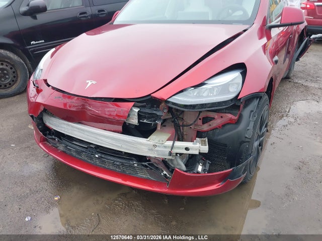 Продажа на аукционе авто 2024 Tesla Model Y, vin: 7SAYGDEE3RF213794, номер лота: 12570640