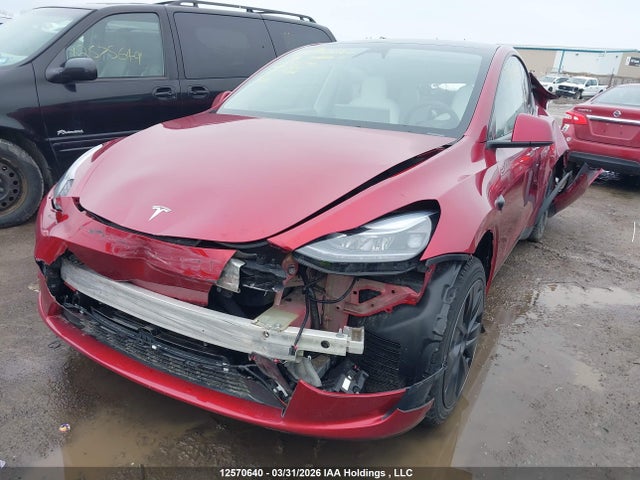 Продажа на аукционе авто 2024 Tesla Model Y, vin: 7SAYGDEE3RF213794, номер лота: 12570640