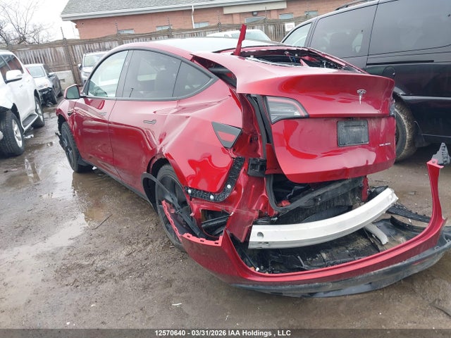 Продажа на аукционе авто 2024 Tesla Model Y, vin: 7SAYGDEE3RF213794, номер лота: 12570640