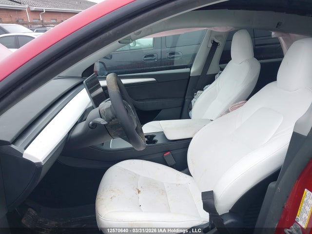 Продажа на аукционе авто 2024 Tesla Model Y, vin: 7SAYGDEE3RF213794, номер лота: 12570640