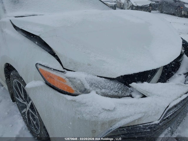 4T1B21HK0NU016550 Toyota Camry Xle/se