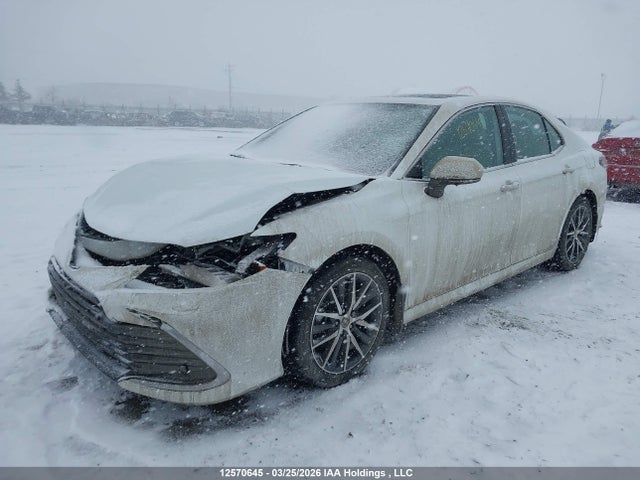 4T1B21HK0NU016550 Toyota Camry Xle/se