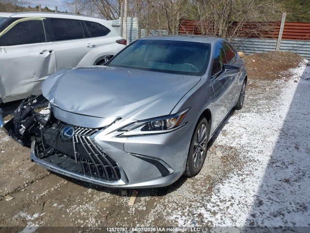 Продаж на аукціоні авто 2024 Lexus Es 250, vin: 58AD11D10RU013493, номер лоту: 12570797