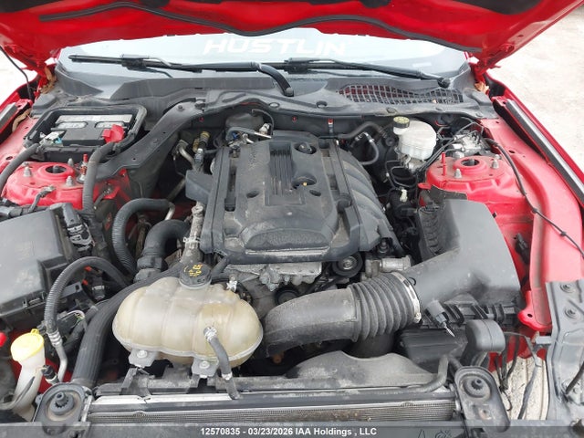 1FA6P8TH8K5203591 Ford Mustang Ecoboost