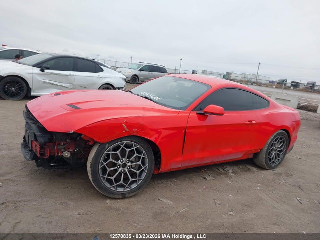 1FA6P8TH8K5203591 Ford Mustang Ecoboost