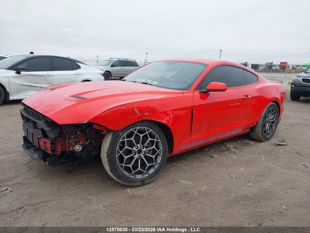1FA6P8TH8K5203591 Ford Mustang Ecoboost
