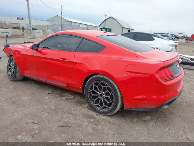 1FA6P8TH8K5203591 Ford Mustang Ecoboost