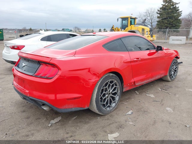 1FA6P8TH8K5203591 Ford Mustang Ecoboost