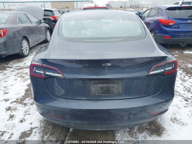 12570893 :رقم المزاد ، 5YJ3E1EA8KF447122 vin ، 2019 Tesla Model 3 مزاد بيع