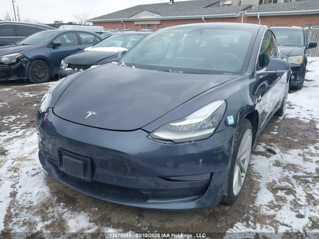 12570893 :رقم المزاد ، 5YJ3E1EA8KF447122 vin ، 2019 Tesla Model 3 مزاد بيع