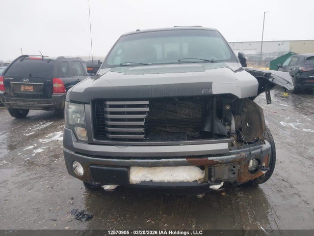 2011 Ford F-150 Fx4 მანქანა იყიდება აუქციონზე, vin: 1FTFW1ET1BFC96583, აუქციონის ნომერი: 12570905