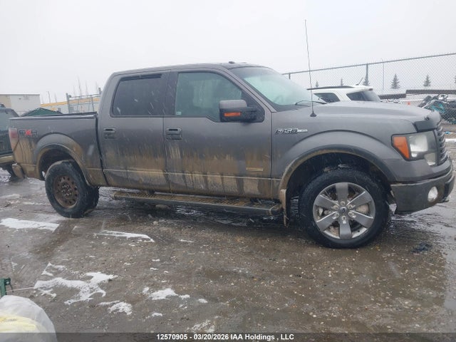 2011 Ford F-150 Fx4 მანქანა იყიდება აუქციონზე, vin: 1FTFW1ET1BFC96583, აუქციონის ნომერი: 12570905