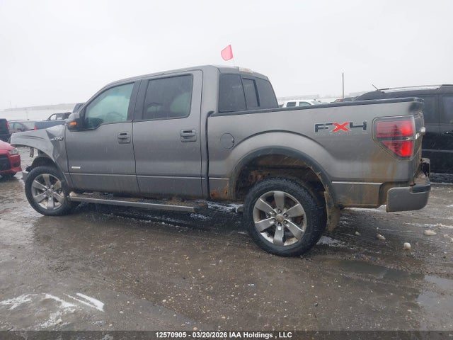 2011 Ford F-150 Fx4 მანქანა იყიდება აუქციონზე, vin: 1FTFW1ET1BFC96583, აუქციონის ნომერი: 12570905