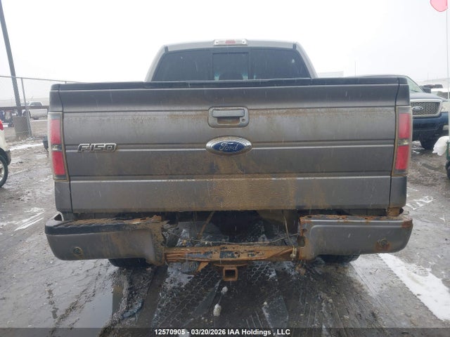 2011 Ford F-150 Fx4 მანქანა იყიდება აუქციონზე, vin: 1FTFW1ET1BFC96583, აუქციონის ნომერი: 12570905