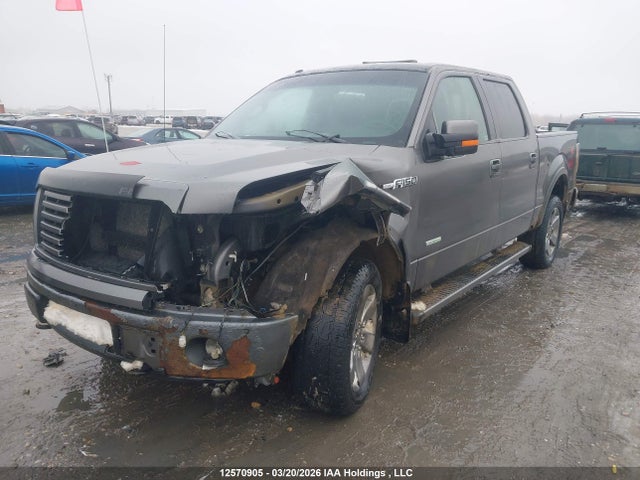 2011 Ford F-150 Fx4 მანქანა იყიდება აუქციონზე, vin: 1FTFW1ET1BFC96583, აუქციონის ნომერი: 12570905