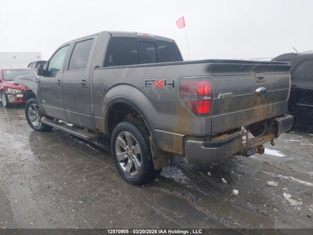 2011 Ford F-150 Fx4 მანქანა იყიდება აუქციონზე, vin: 1FTFW1ET1BFC96583, აუქციონის ნომერი: 12570905