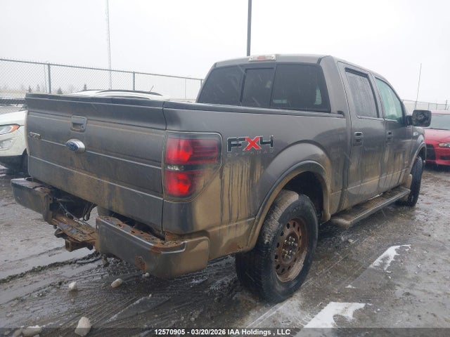 2011 Ford F-150 Fx4 მანქანა იყიდება აუქციონზე, vin: 1FTFW1ET1BFC96583, აუქციონის ნომერი: 12570905
